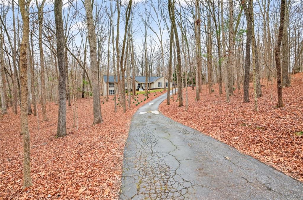 241 Staghorn Trail Nicholson, GA 30565 - Photo 67 of 95