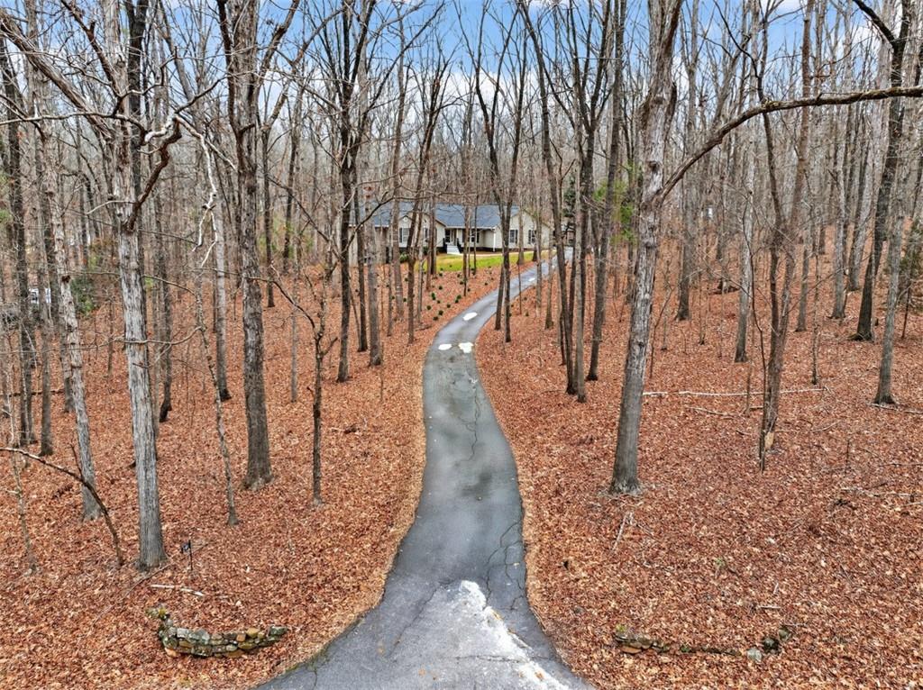 241 Staghorn Trail Nicholson, GA 30565 - Photo 70 of 95