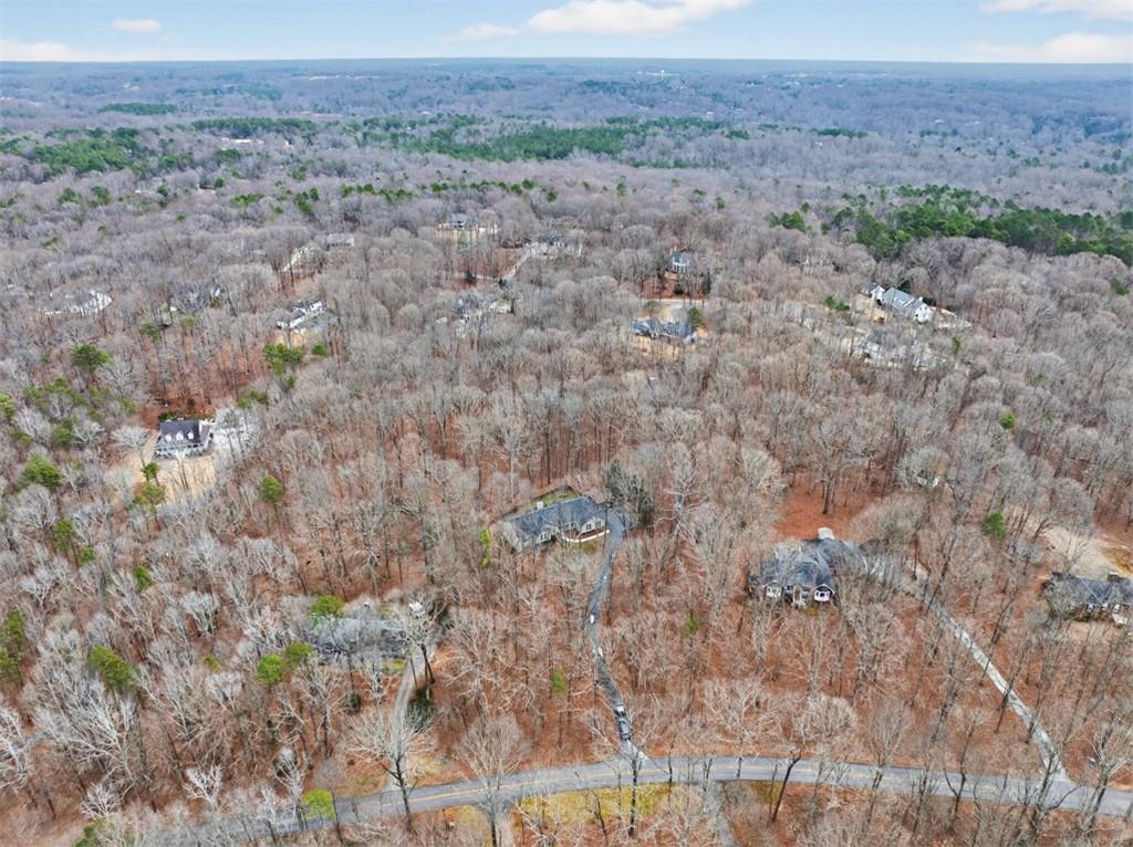 241 Staghorn Trail Nicholson, GA 30565 - Photo 80 of 95