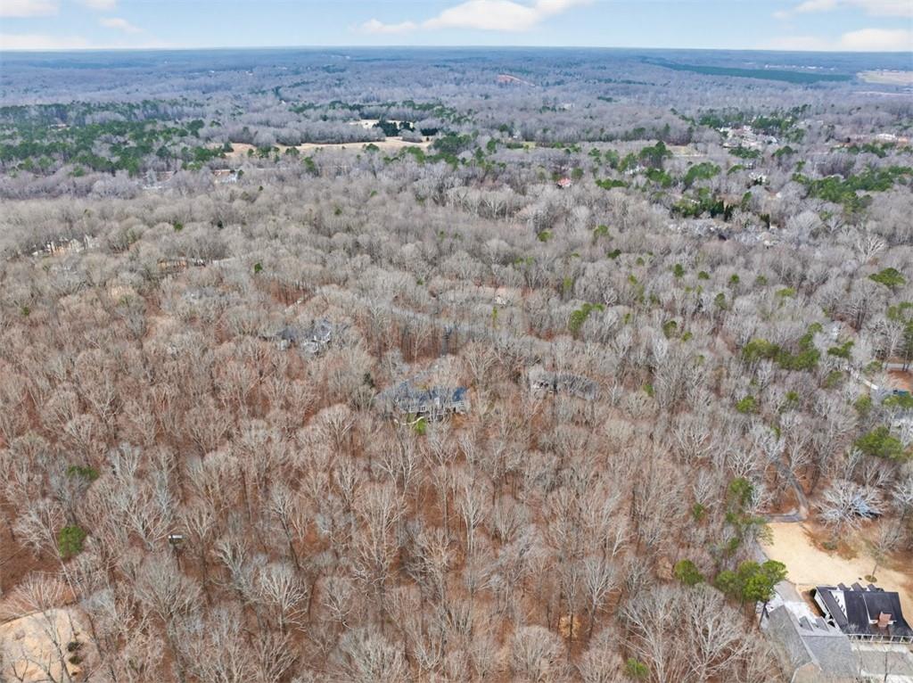 241 Staghorn Trail Nicholson, GA 30565 - Photo 84 of 95