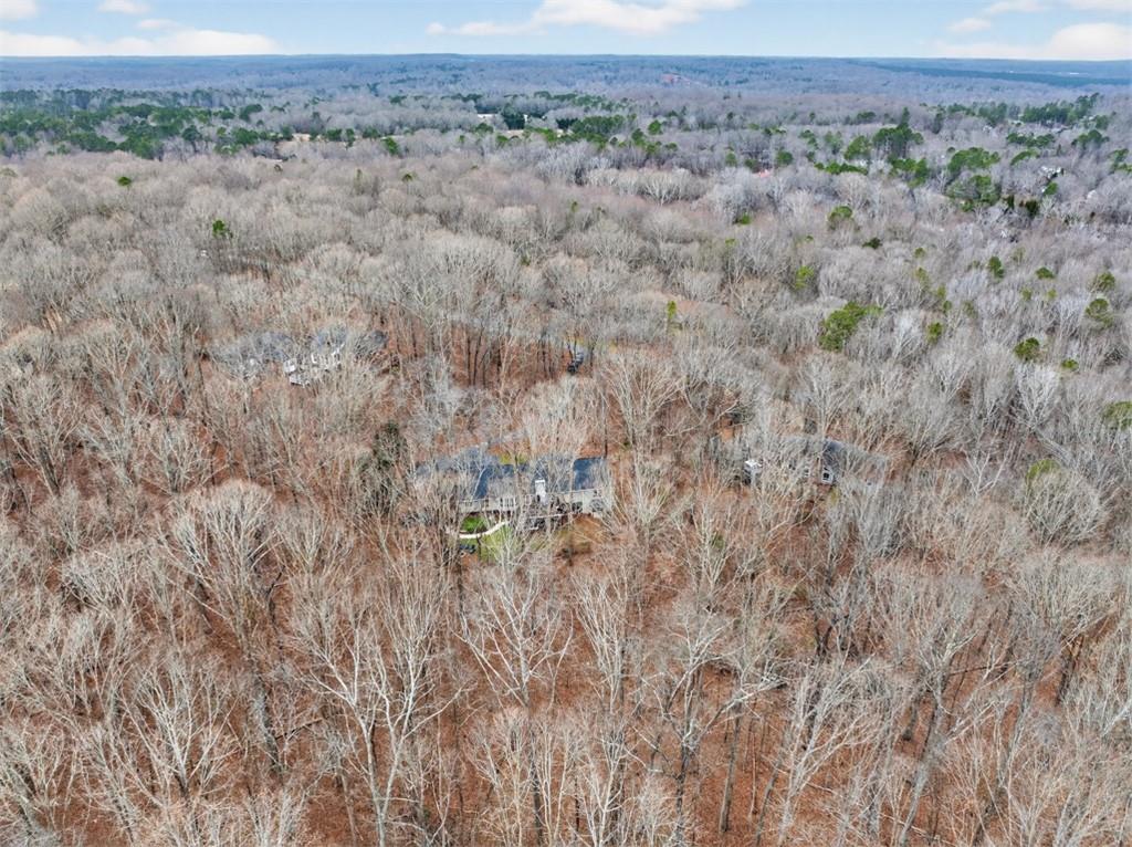 241 Staghorn Trail Nicholson, GA 30565 - Photo 85 of 95