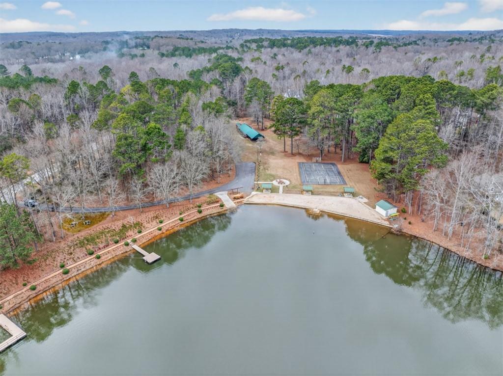 241 Staghorn Trail Nicholson, GA 30565 - Photo 91 of 95