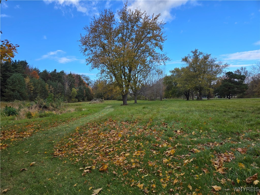 1398 Arlington Road Somerset, NY 14012 - Photo 15 of 48