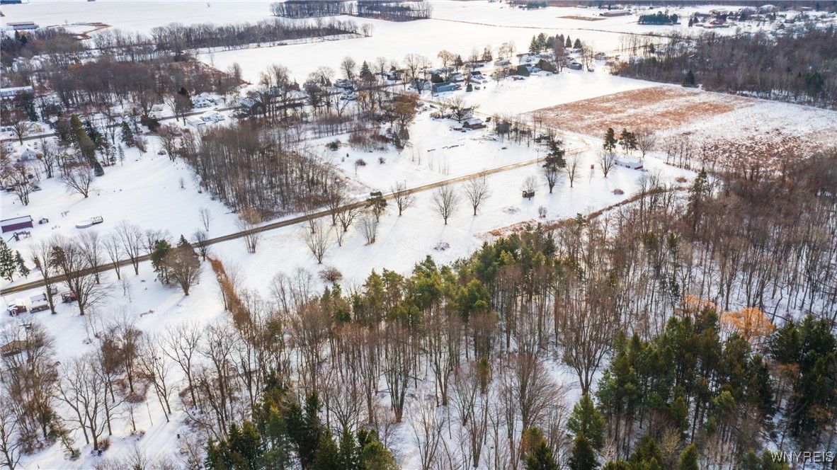 1398 Arlington Road Somerset, NY 14012 - Photo 40 of 48