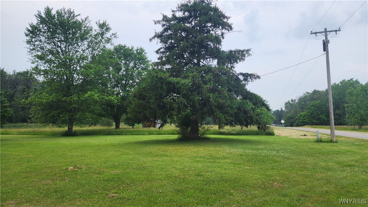 1398 Arlington Road Somerset, NY 14012 - Photo 9 of 48