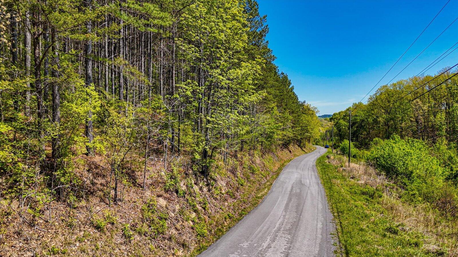 15.12-acre Rynes Road Decatur, TN 37322 - Photo 26 of 35 26-Cottonport Ridge Rd lot 2-9