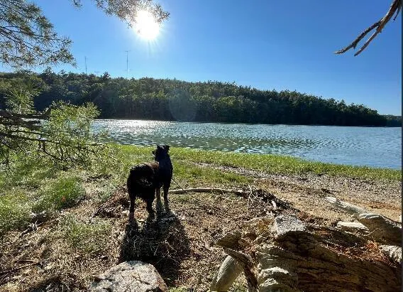 $1,500,000 | 9-11 Orion Point Way, Harpswell, ME 04079