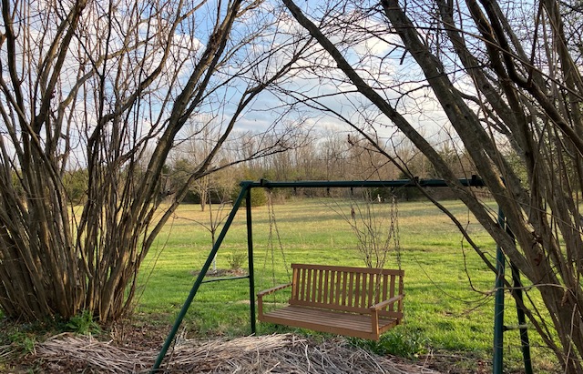 2066 Tolbert Road Hamilton, OH 45011 - Photo 47 of 63 This tranquil outdoor space features a classic swing, offering a serene escape amidst natural surroundings.