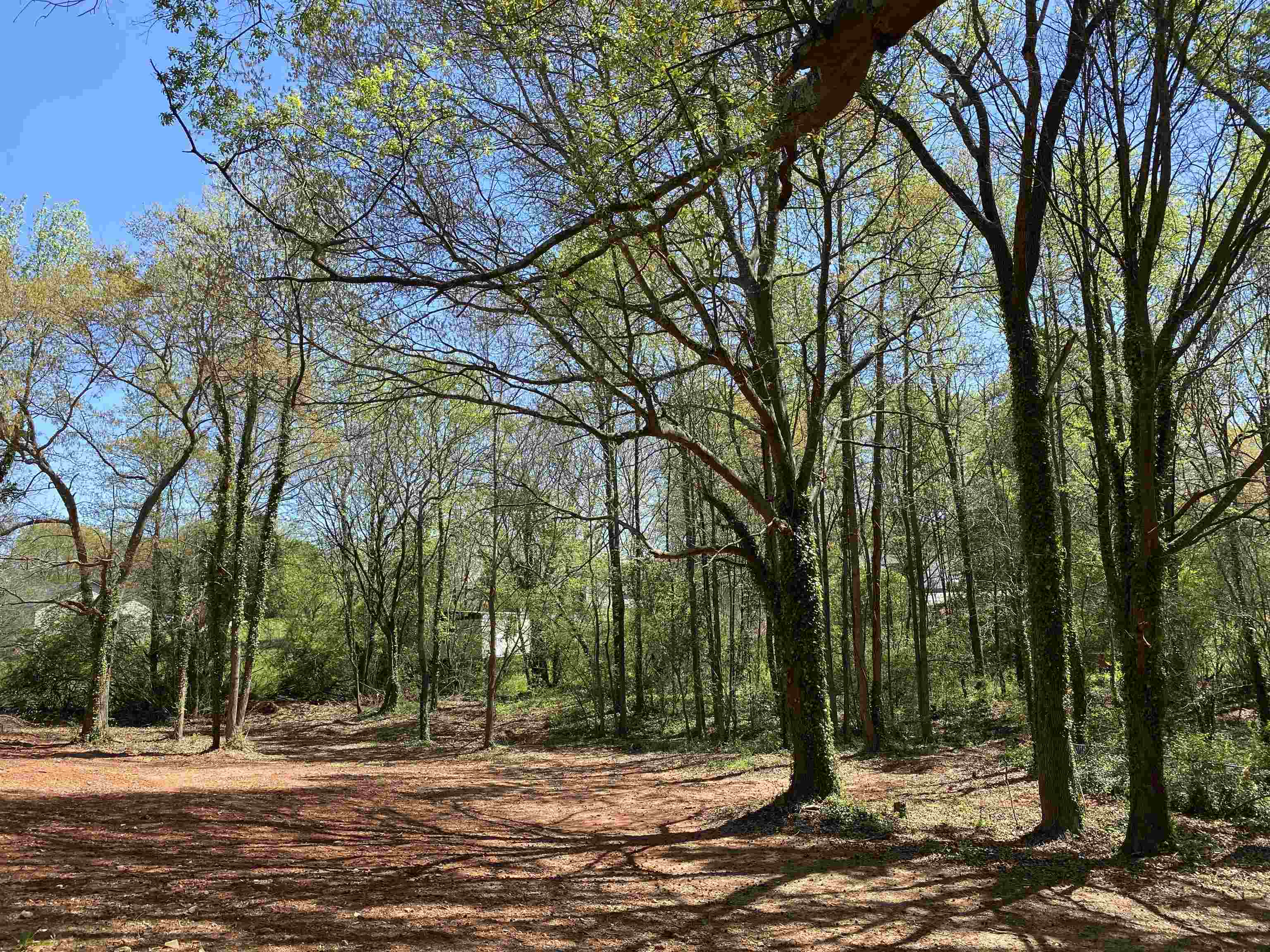151 Peaceful Valley Road Spartanburg, SC 29307 - Photo 13 of 14 Gallery Image 13