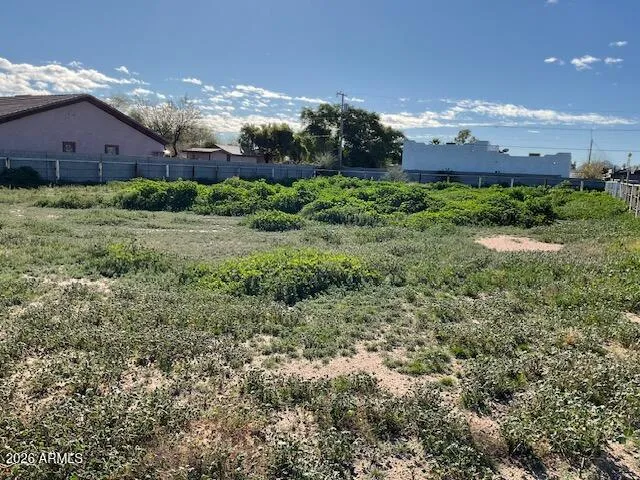 a view of a large yard with plants and large trees