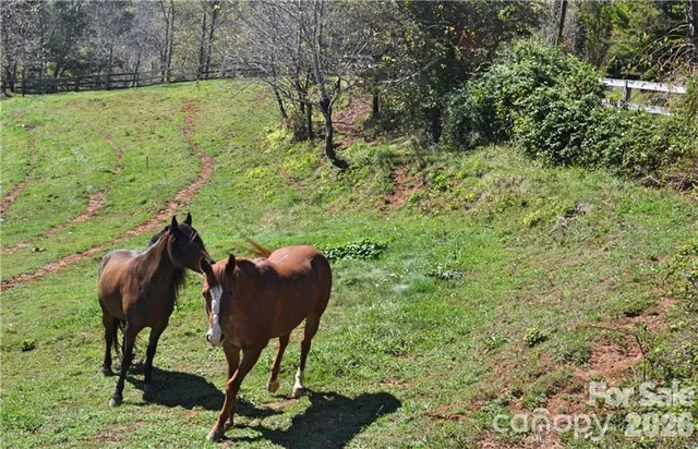 $1,100,000 | 40 Chambers Drive, Weaverville, NC 28787