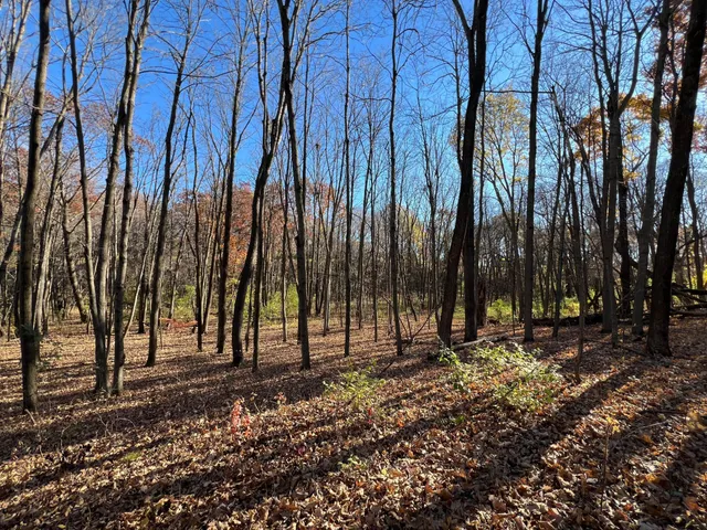 $270,000 | Tbd 90th Street East, Northfield, MN 55057