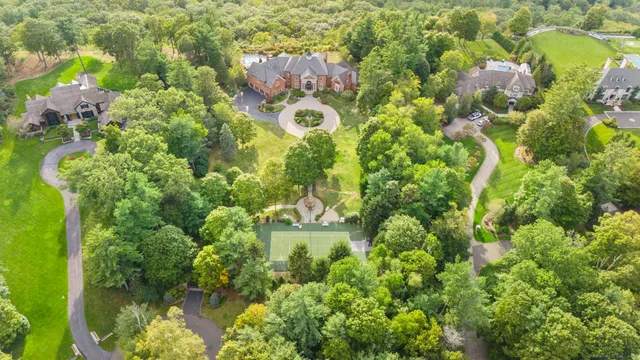 a view of a garden with plants