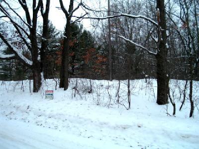 Don Snow Road Twin Lake, MI 49457 - Photo 1 of 1 Primary Photo