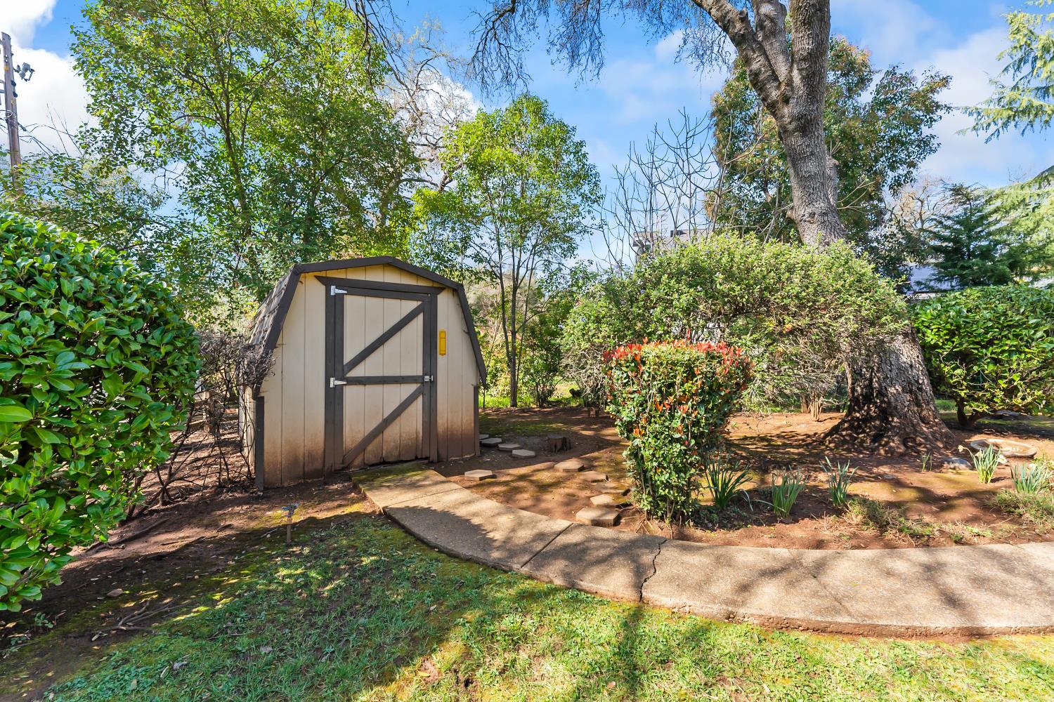 3708 Millbrae Road Cameron Park, CA 95682 - Photo 43 of 48 a backyard of a house with large trees and brick wall