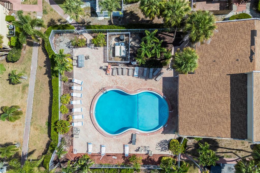 3405 Clark Road, Unit 205 Sarasota, FL 34231 - Photo 21 of 28 an aerial view of a house with swimming pool and large trees