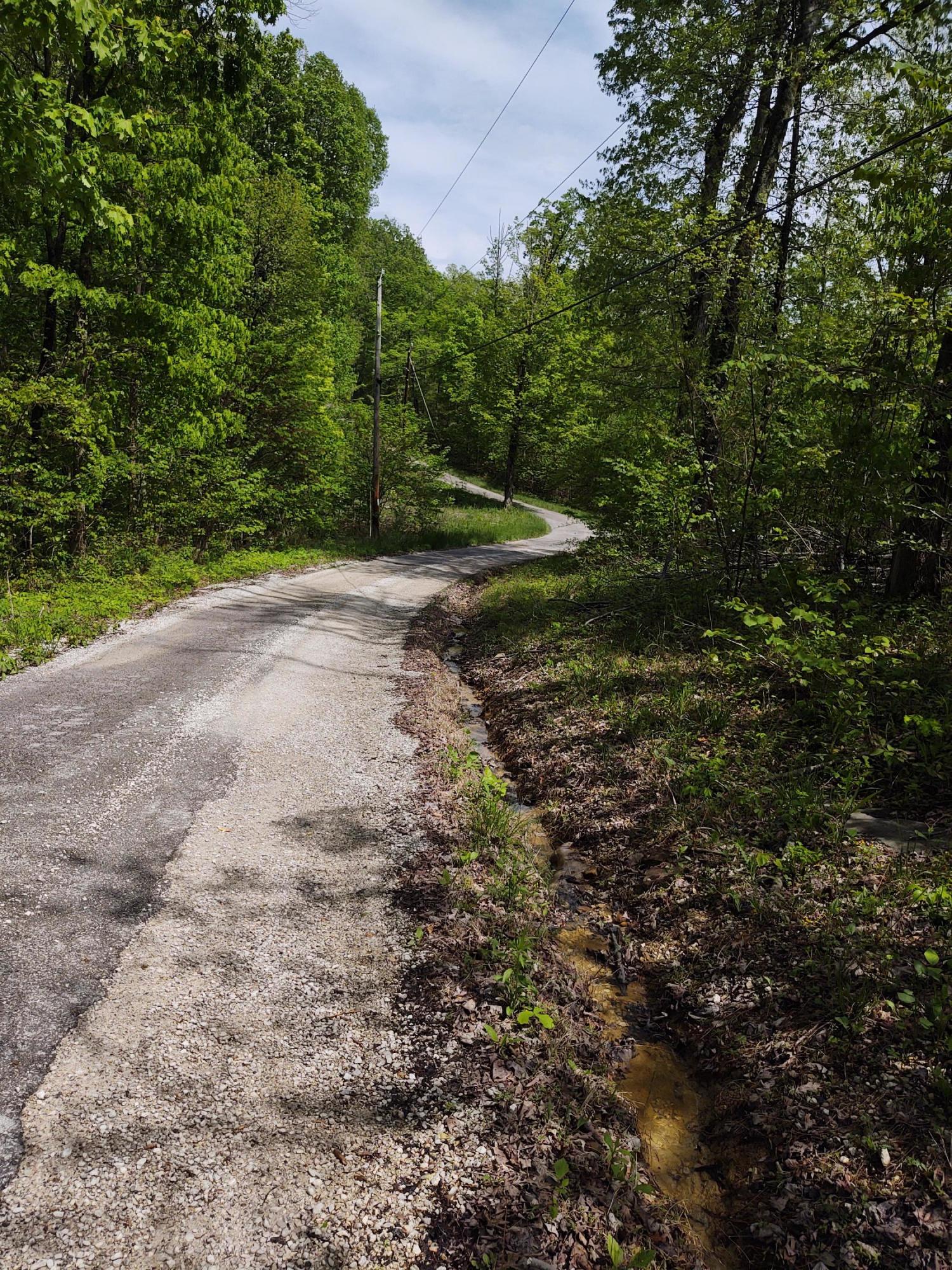 0 Darrell Randall Road, Unit LOT # 11 Stanton, KY 40380 - Photo 3 of 8 IMG_20210504_152014412