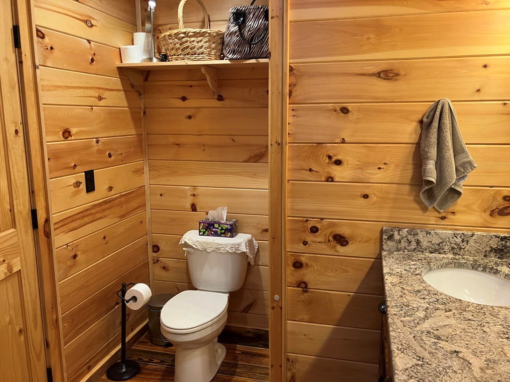 215 Legendary Ridge Road Murphy, NC 28906 - Photo 20 of 52 Gallery Image 20