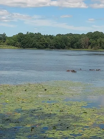 a view of a lake view