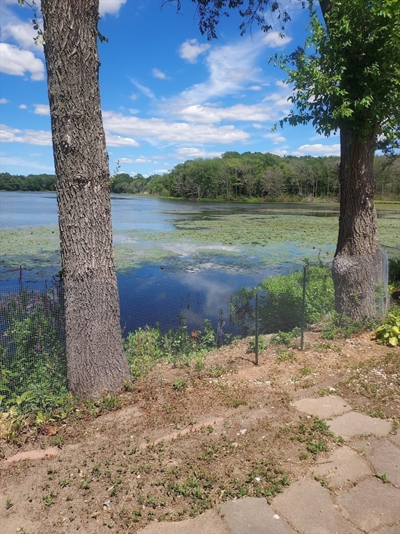 17 Lisa Drive Taunton, MA 02780 - Photo 5 of 21 a view of a yard with a tree