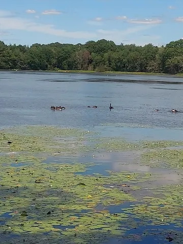 a view of ocean view