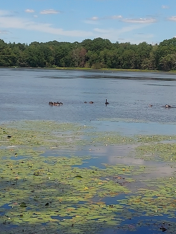 17 Lisa Drive Taunton, MA 02780 - Photo 6 of 21 a view of ocean view