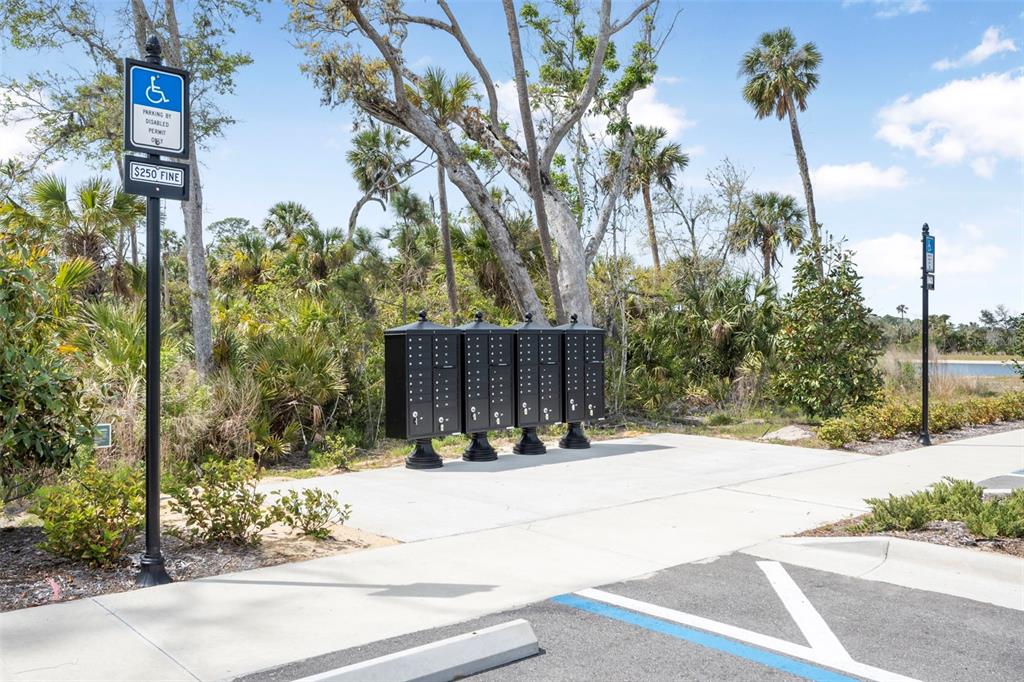 53 Coronado Road Flagler Beach, FL 32136 - Photo 22 of 29 a view of street with flower plants