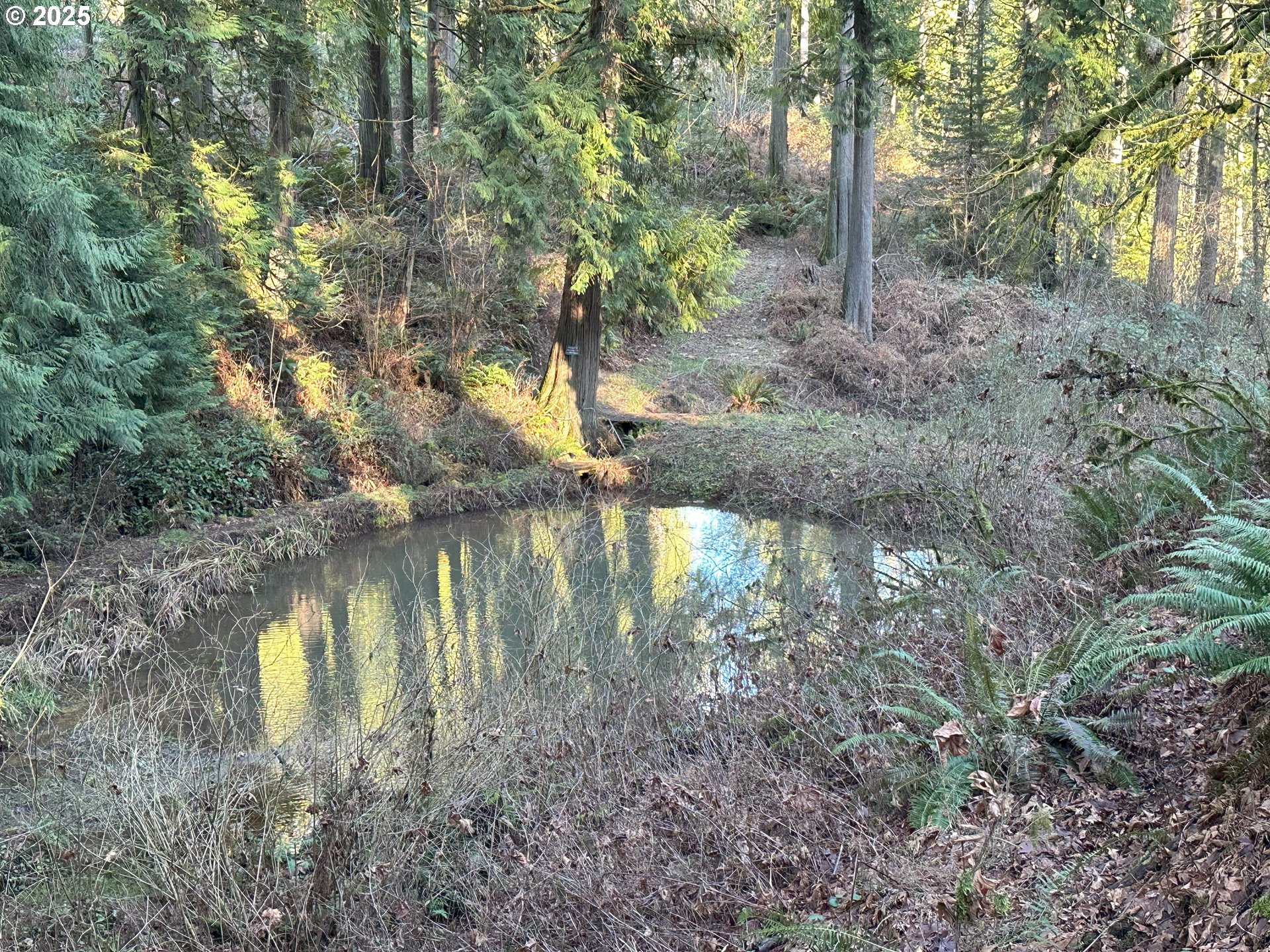 21007 Southwest Kruger Road Sherwood, OR 97140 - Photo 13 of 18 a view of a lake view