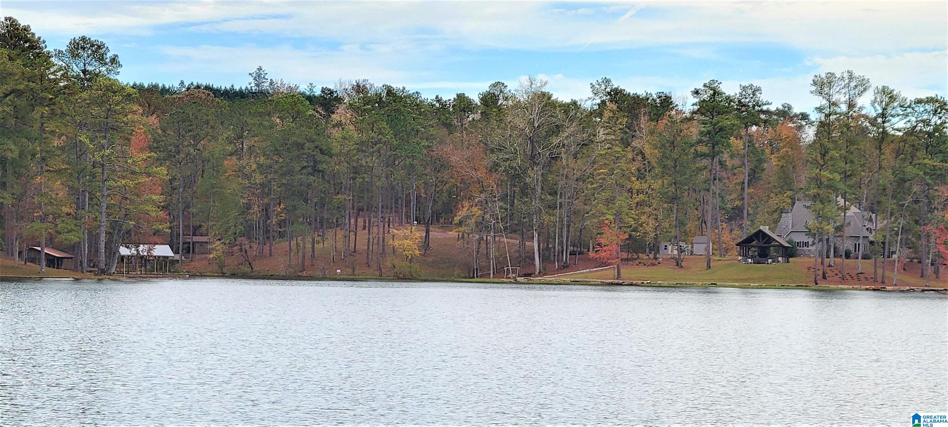 1830 Mimosa Point Road, Unit 1 Rockford, AL 35136 - Photo 19 of 24