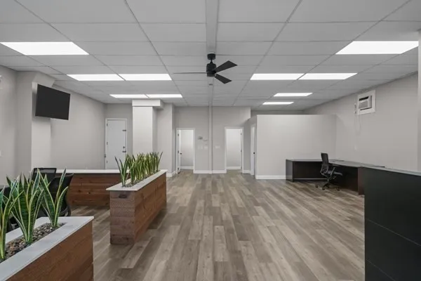 a living room with furniture and potted plants