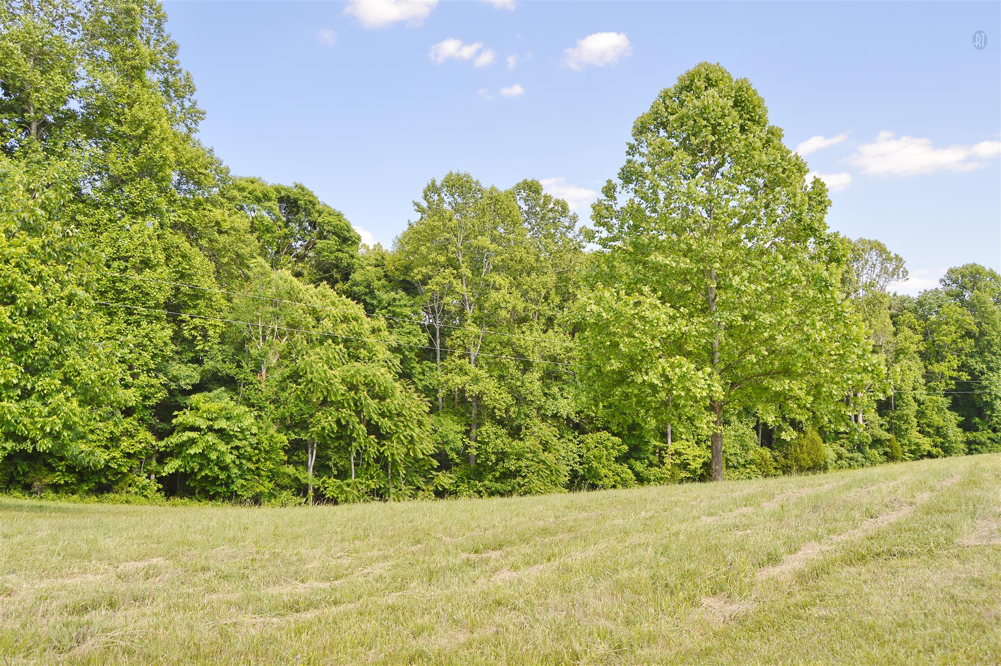 5765 Natchez Trace Road Franklin, TN 37064 - Photo 2 of 18 Gallery Image 2