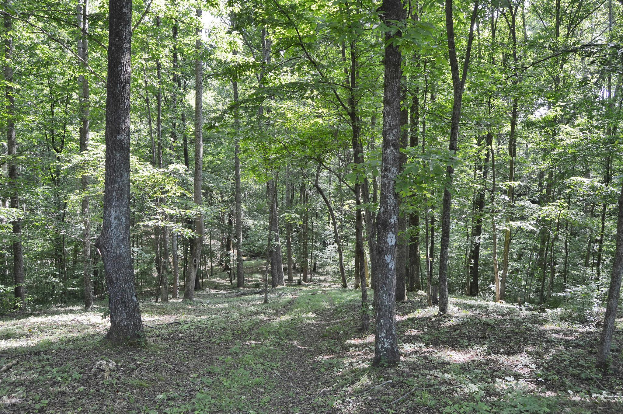 5765 Natchez Trace Road Franklin, TN 37064 - Photo 11 of 18 Gallery Image 11