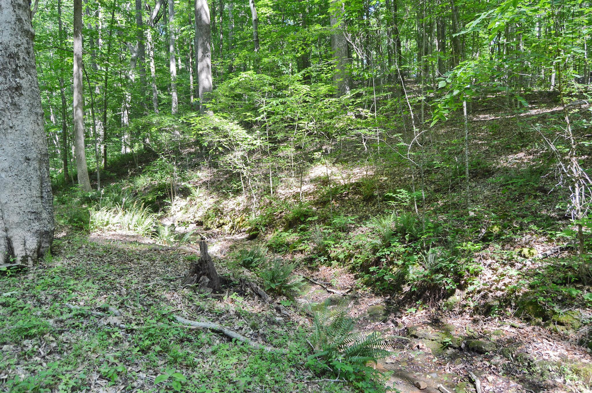 5765 Natchez Trace Road Franklin, TN 37064 - Photo 12 of 18 Gallery Image 12