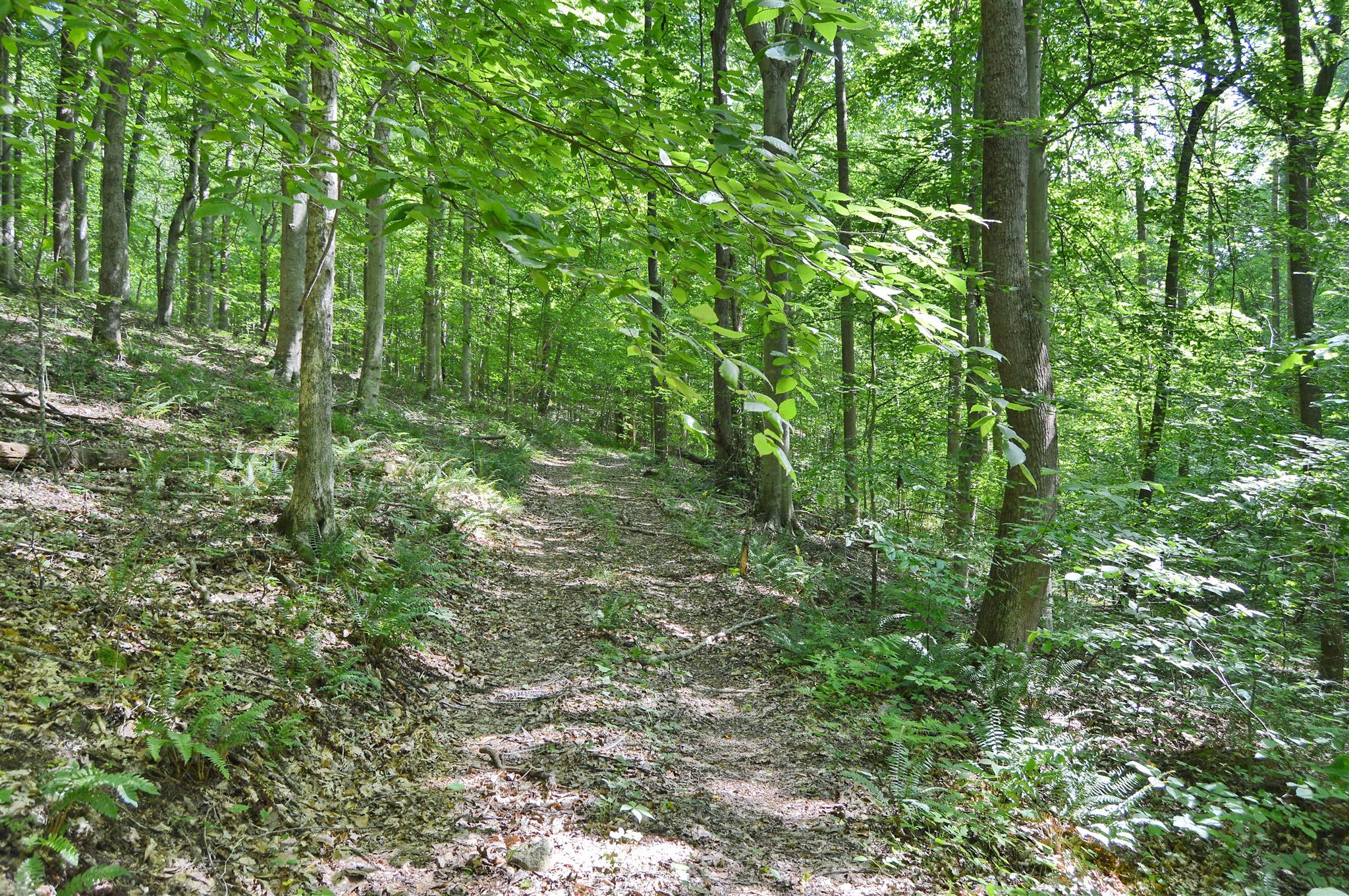 5765 Natchez Trace Road Franklin, TN 37064 - Photo 13 of 18 Gallery Image 13