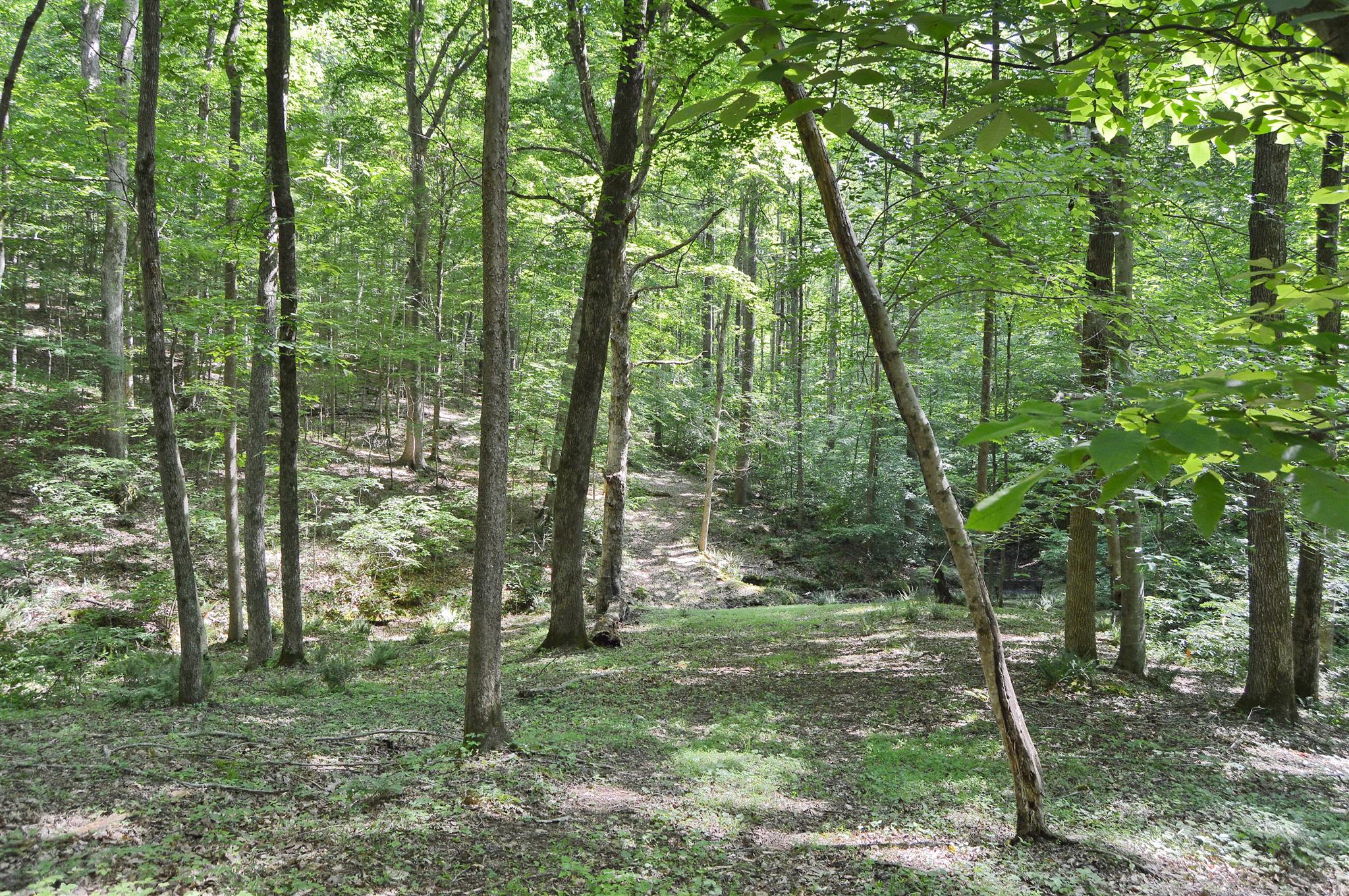 5765 Natchez Trace Road Franklin, TN 37064 - Photo 15 of 18 Gallery Image 15