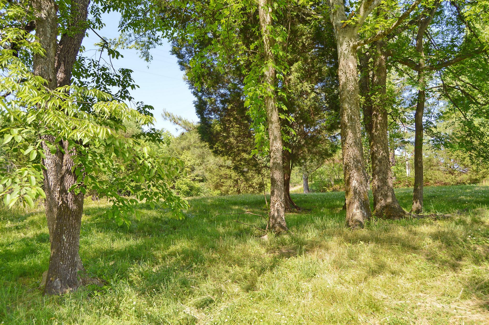 5765 Natchez Trace Road Franklin, TN 37064 - Photo 16 of 18 Gallery Image 16