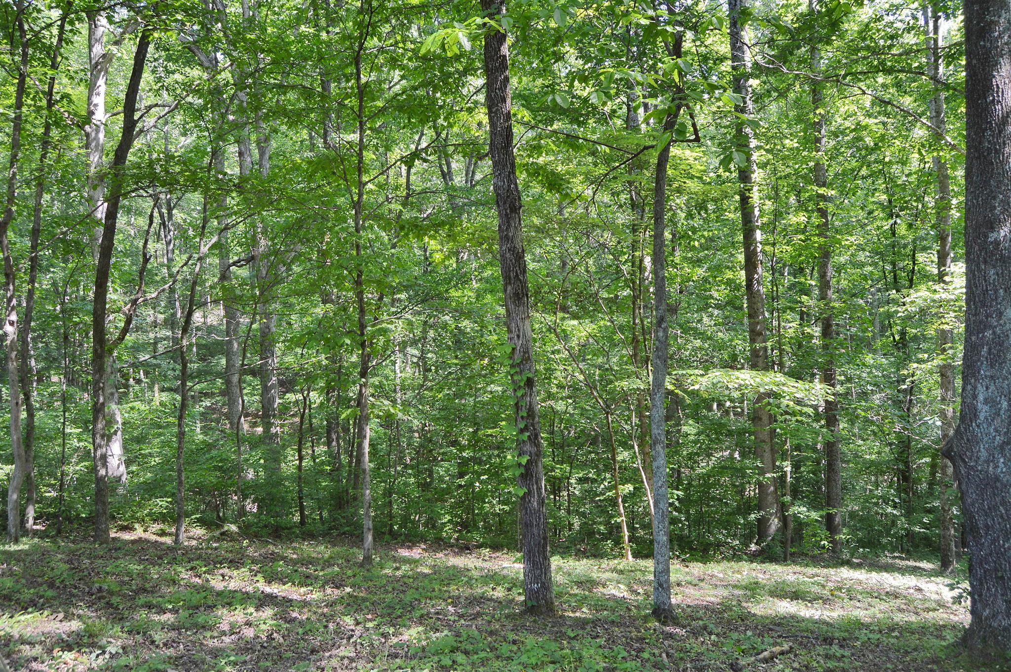 5765 Natchez Trace Road Franklin, TN 37064 - Photo 17 of 18 Gallery Image 17