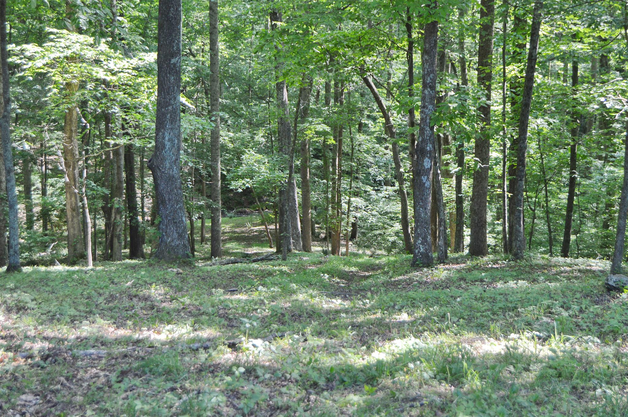 5765 Natchez Trace Road Franklin, TN 37064 - Photo 3 of 18 Gallery Image 3