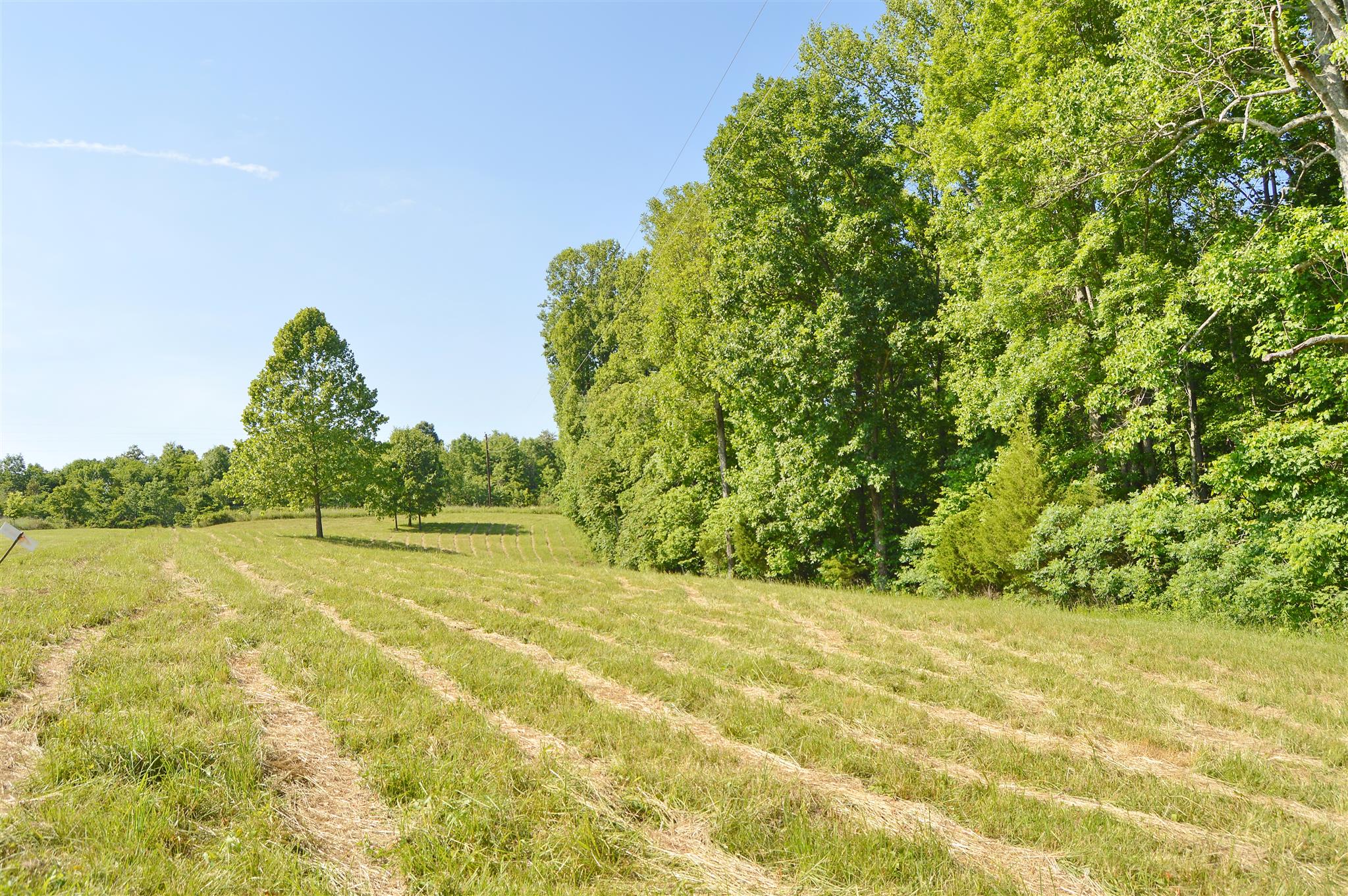 5765 Natchez Trace Road Franklin, TN 37064 - Photo 4 of 18 Gallery Image 4