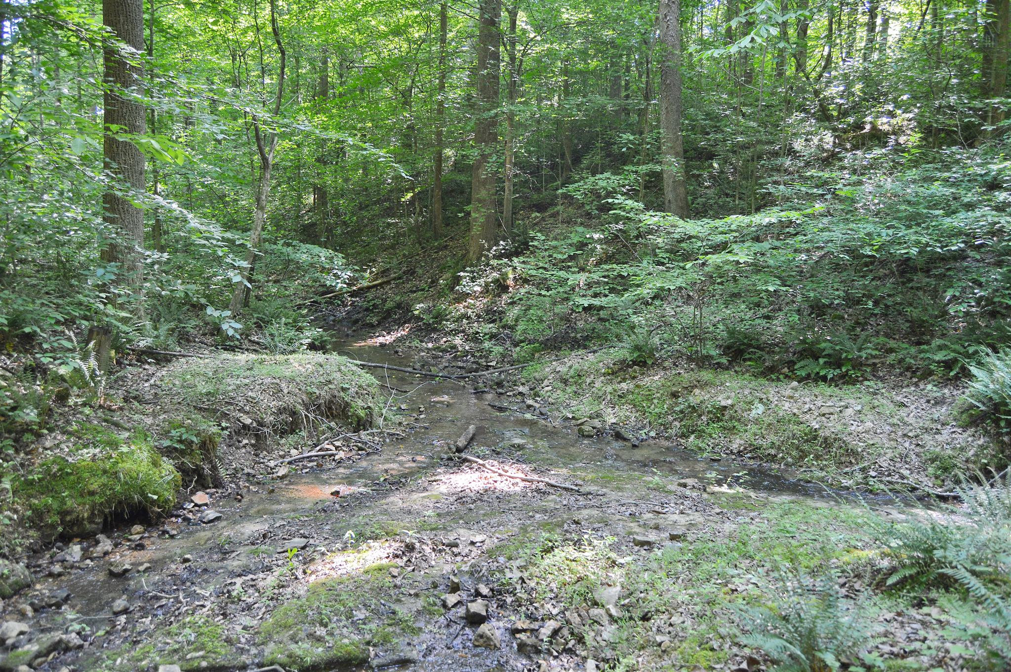 5765 Natchez Trace Road Franklin, TN 37064 - Photo 8 of 18 Gallery Image 8