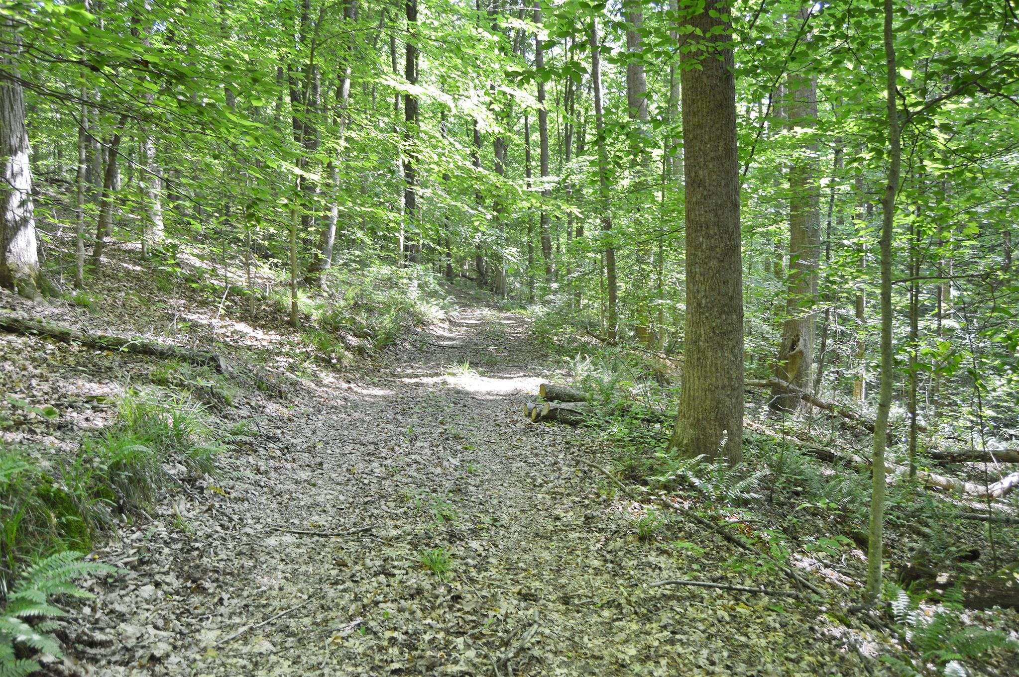5765 Natchez Trace Road Franklin, TN 37064 - Photo 10 of 18 Gallery Image 10