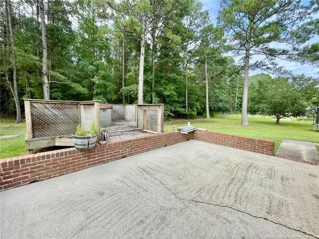 a view of a park with large trees