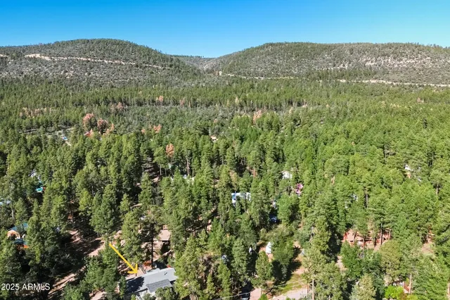 a view of a lush green field with a mountain in the background