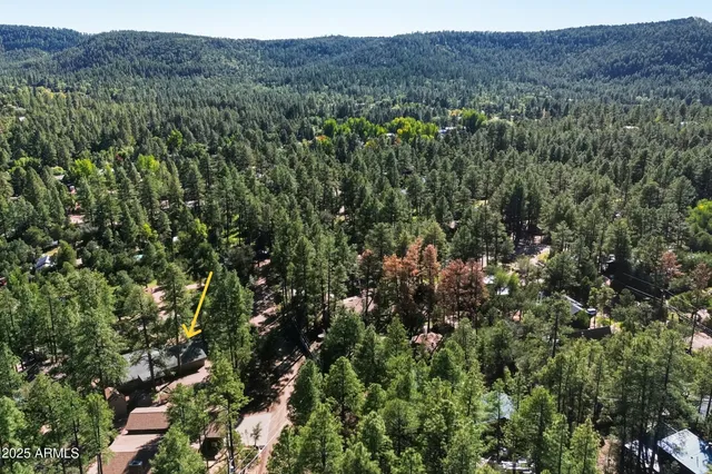 a view of a lush green forest with lush green forest