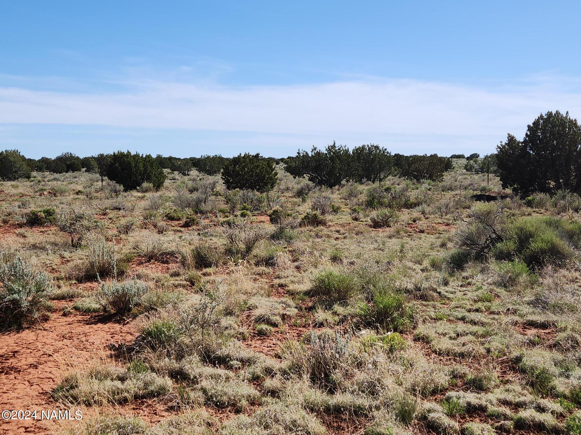 3705 South Avondale Road Williams, AZ 86046 - Photo 21 of 28 1000021808