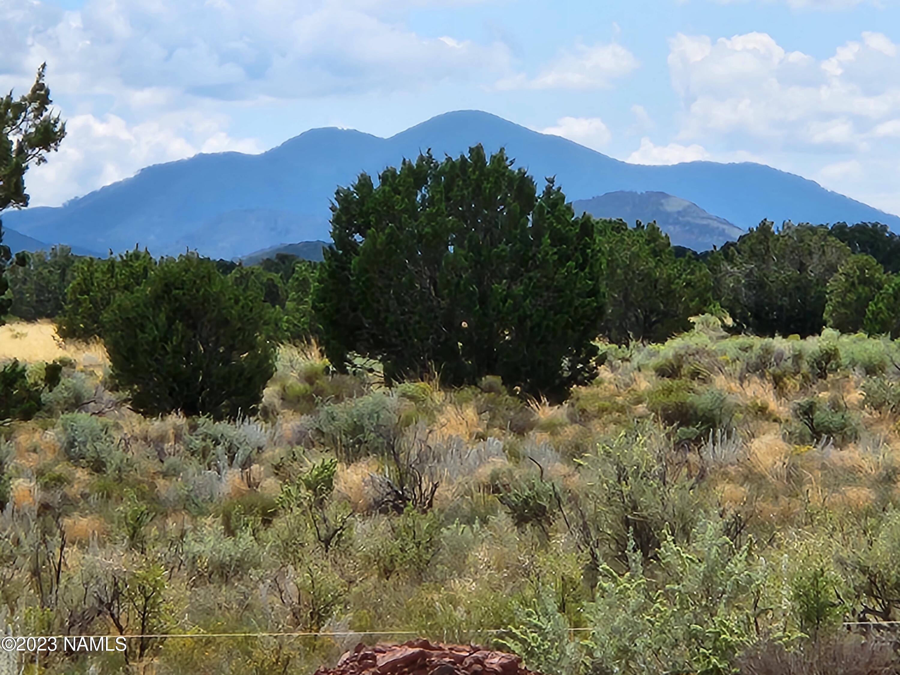 3705 South Avondale Road Williams, AZ 86046 - Photo 5 of 28 20230902_121417