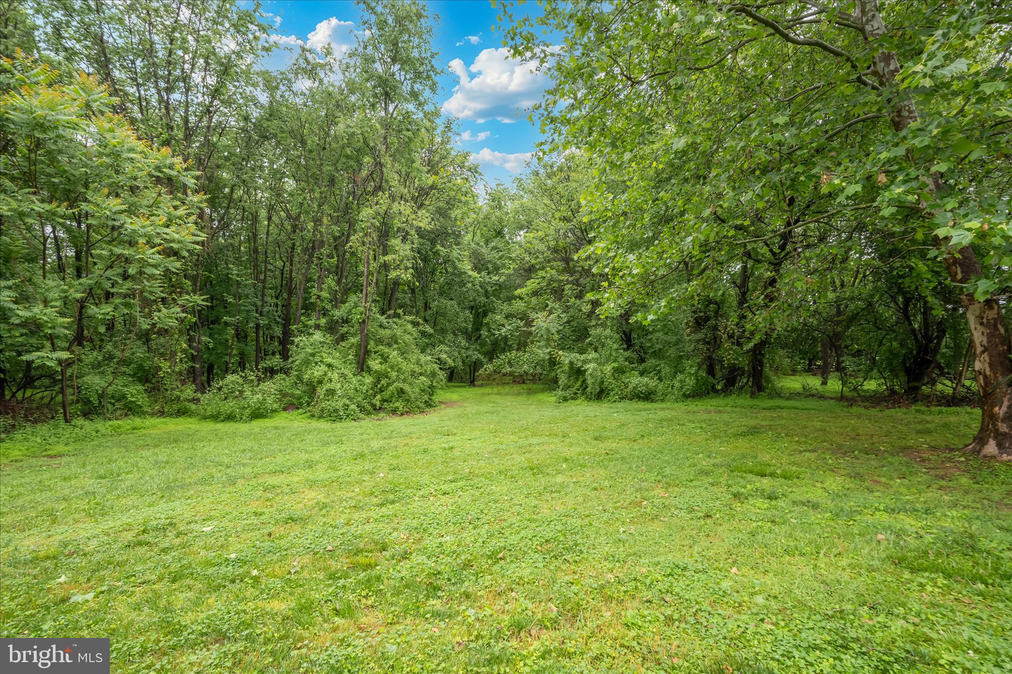 18400 New Cut Road Mount Airy, MD 21771 - Photo 75 of 86 Exterior Back