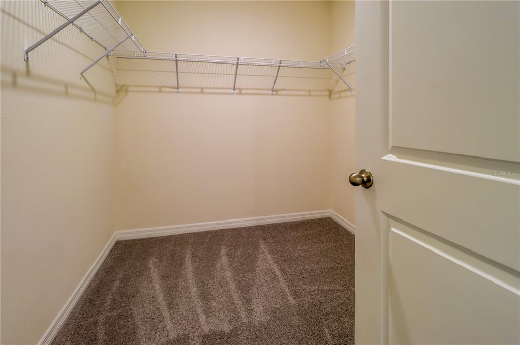 8934 Forge Breeze Loop Wesley Chapel, FL 33545 - Photo 33 of 50