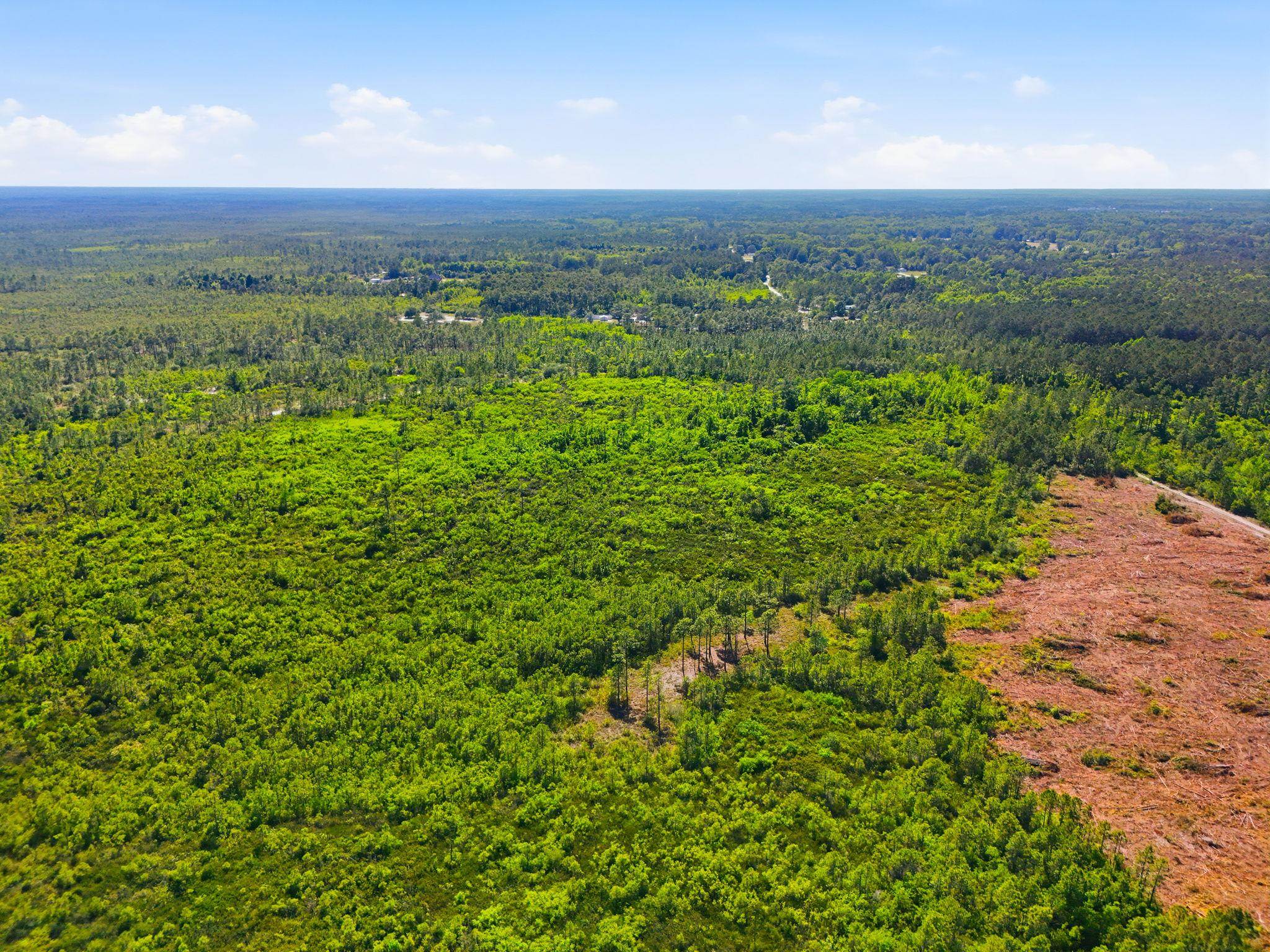 Tbd Water Tower Road Longs, SC 29568 - Photo 12 of 21