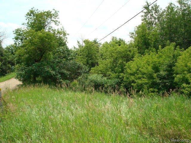 1 Lassier Road Romeo, MI 48065 - Photo 11 of 11 Lassier 8